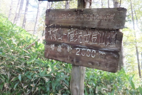 e0041047_05063276.jpg
