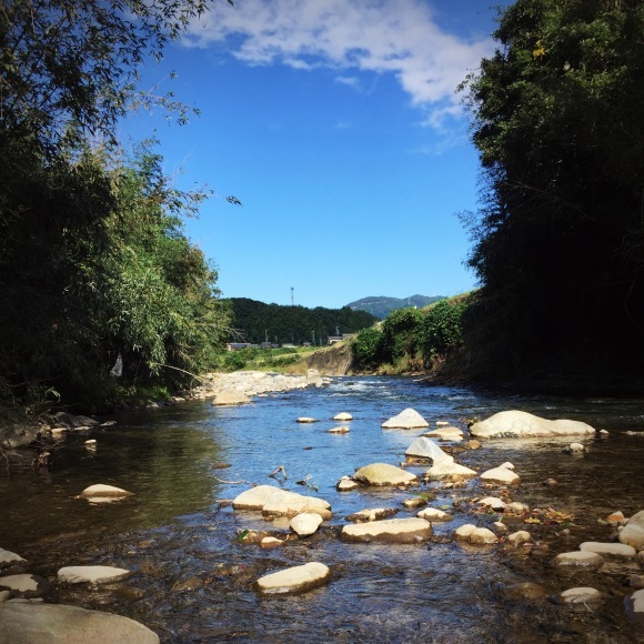 c0312349_10484024.jpeg