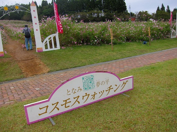 c0327752_12394538.jpg
