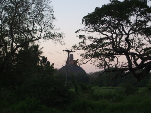 c0351060_19483716.jpg