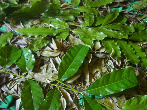 c0351060_20112050.jpg