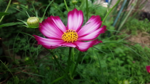 f0374160_22014153.jpg