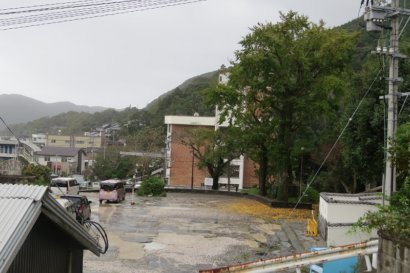 b0104861_1941391.jpg