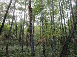 d0045362_9513214.jpg