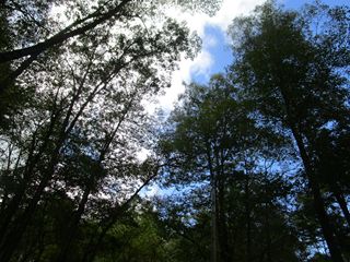 d0045362_9514531.jpg
