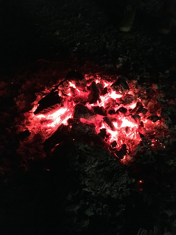 c0048265_2017022.jpg