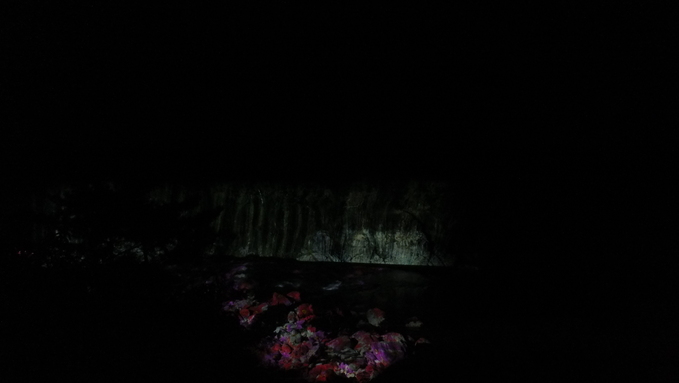 e0151266_1024272.jpg