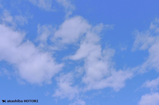 f0150377_9592373.jpg