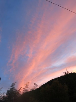 e0012580_12441183.jpg
