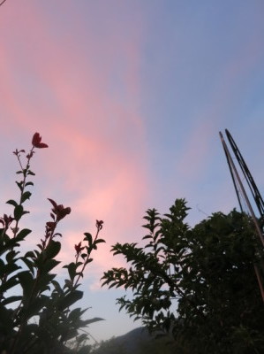e0012580_12441650.jpg