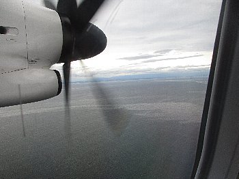 f0003283_20322411.jpg
