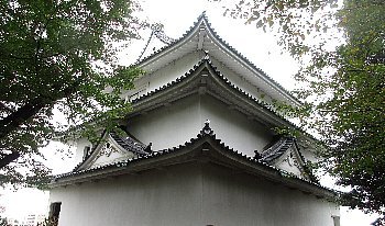 f0003283_20323018.jpg