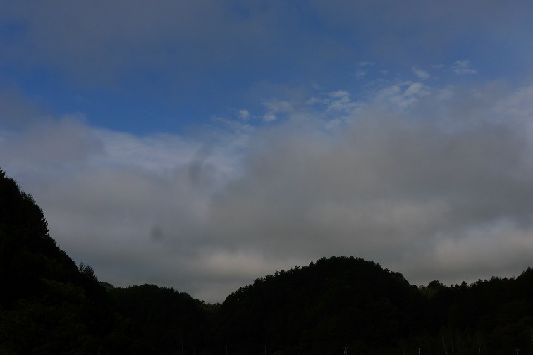 a0130586_852591.jpg