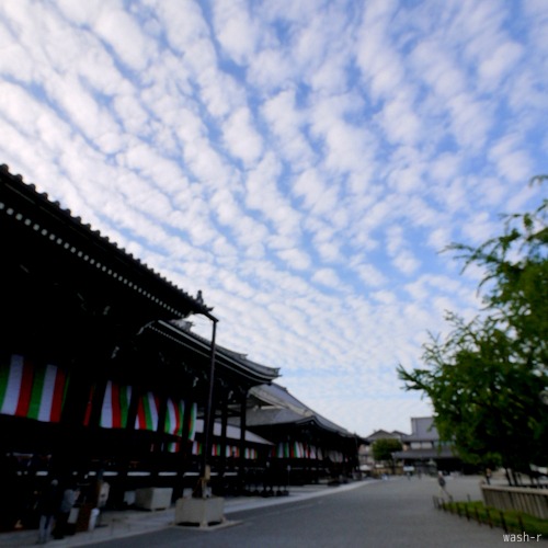 b0029488_1135430.jpg