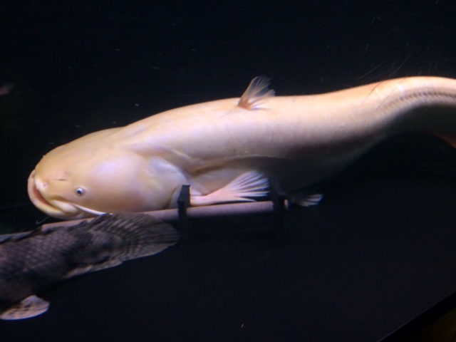 e0094589_20591986.jpg