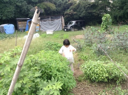 f0257789_20321990.jpeg
