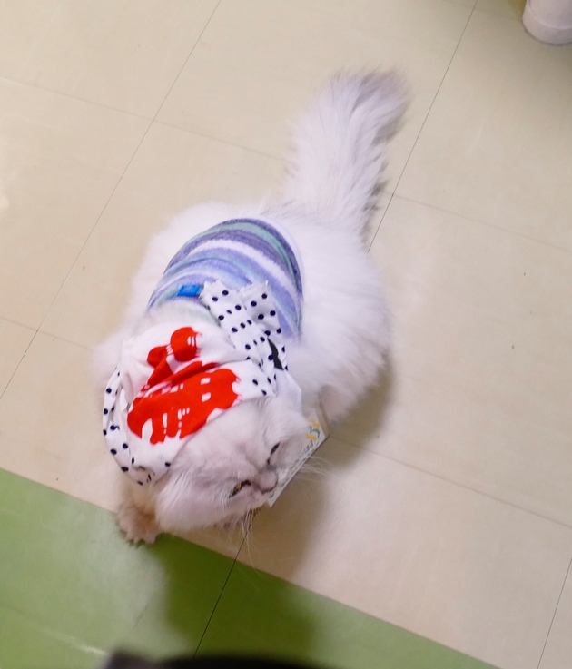 c0223591_1761790.jpg