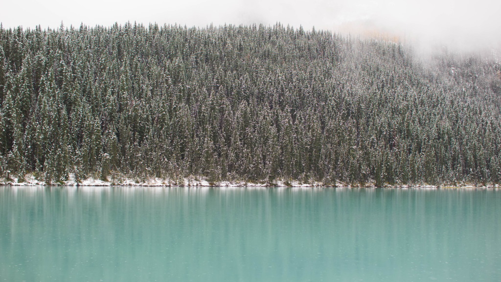 c0238497_10055391.jpg