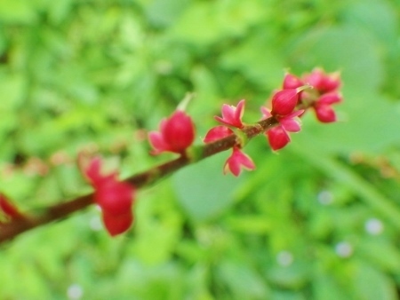 a0125598_21421922.jpg