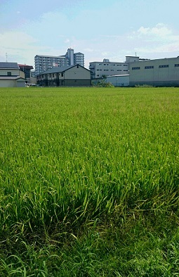 b0366199_11464671.jpg