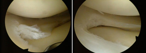 b0112009_10444133.png