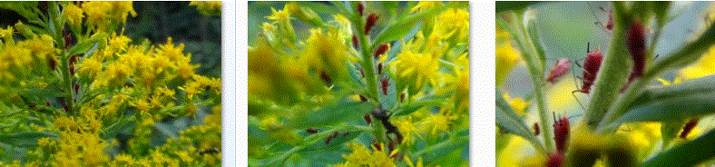 f0231709_2148171.gif