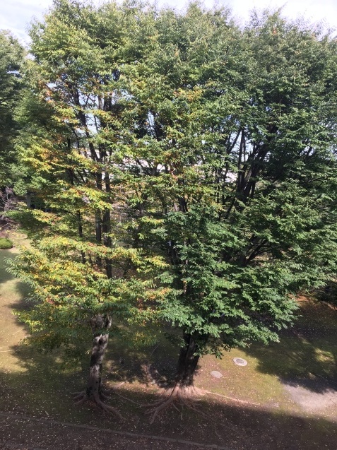 c0038722_15232735.jpeg