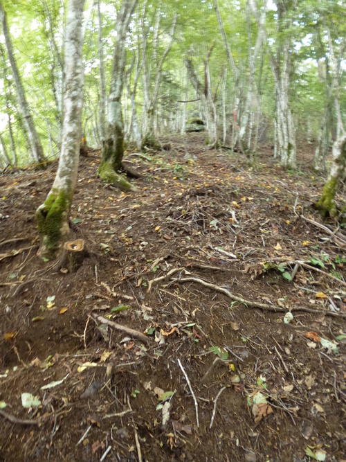 f0304030_15312457.jpg