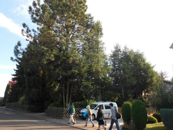 a0095931_12002646.jpg