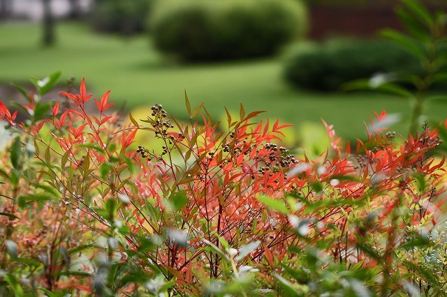 a0242438_21032704.jpg