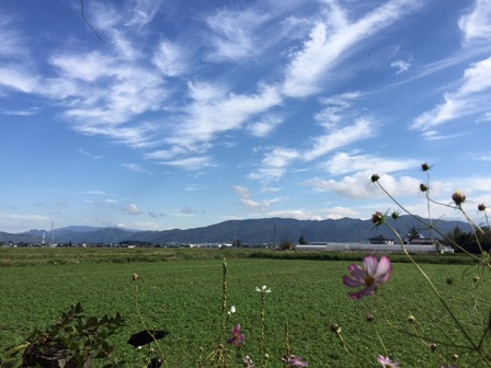 a0272241_1685877.jpg