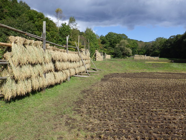 c0233141_12524515.jpg