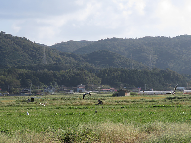 f0214649_2104619.jpg