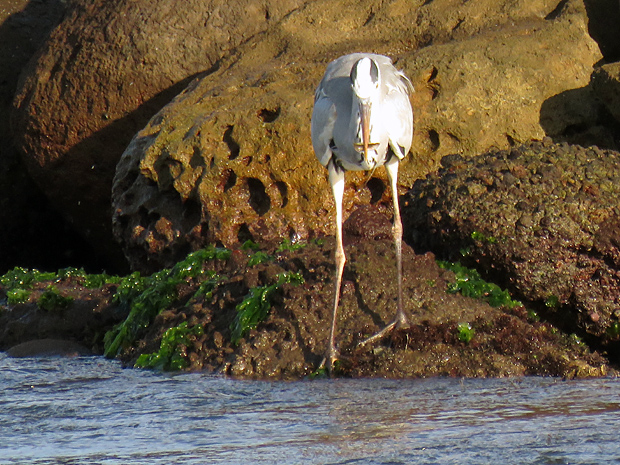 f0214649_25136.jpg