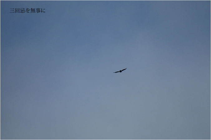 c0061761_75984.jpg