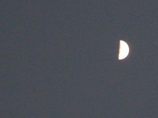 d0045362_11183030.jpg