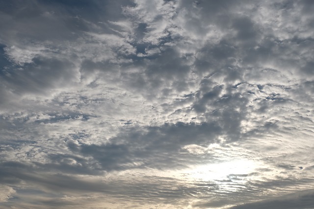 e0225164_11172465.jpg