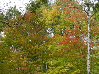 d0226767_1754156.jpg