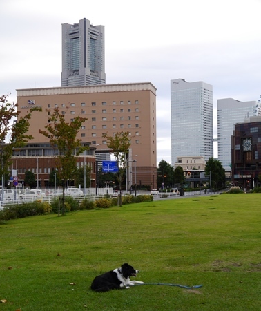 c0197069_09232550.jpg