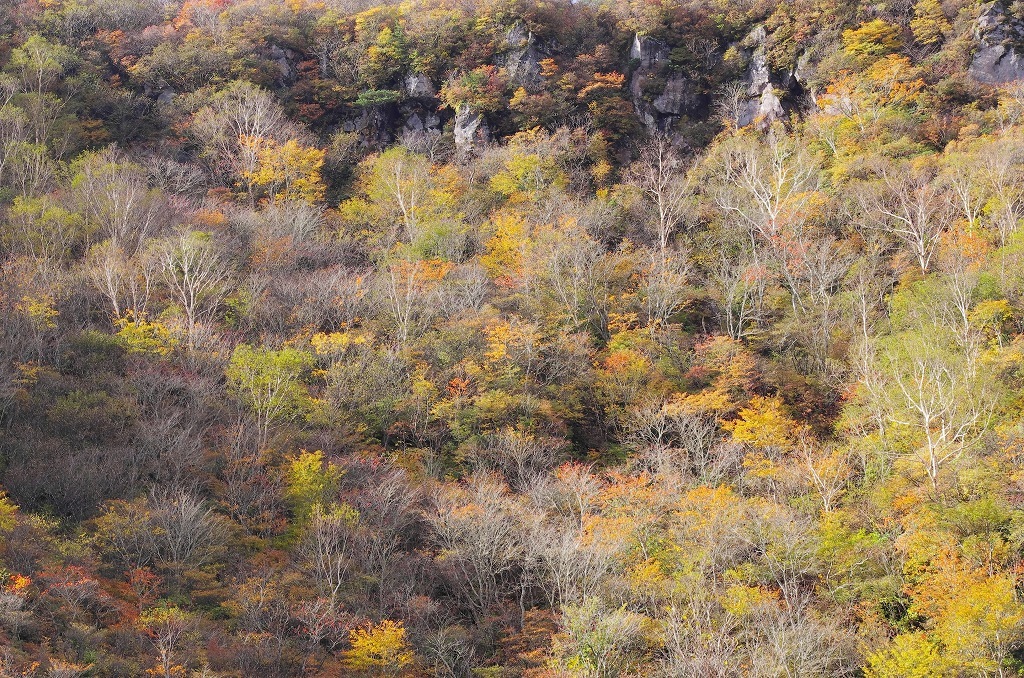 b0250470_19545851.jpg