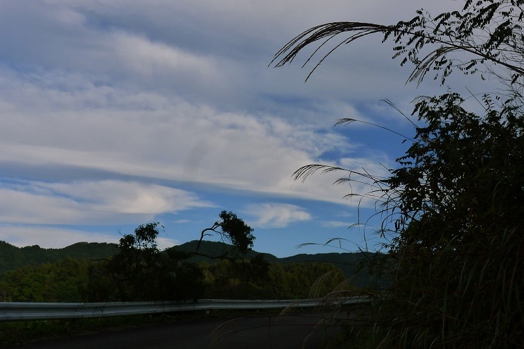 a0130586_7513442.jpg