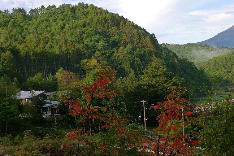 a0130586_7582125.jpg