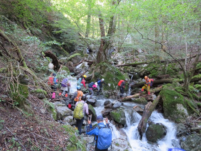 f0357487_2053988.jpg