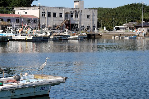 a0222494_2122267.jpg