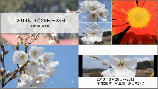 a0043204_11141051.gif