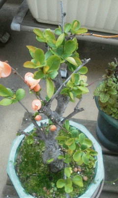c0074721_15201006.jpg