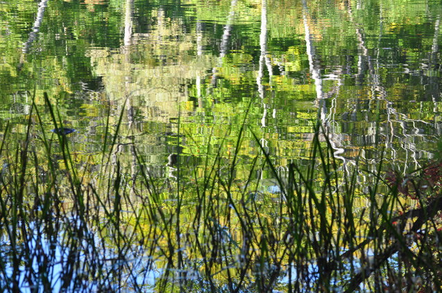 a0248728_1717147.jpg
