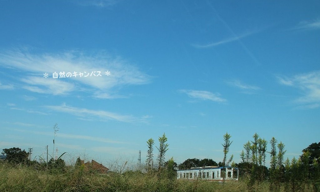 e0052135_20391752.jpg