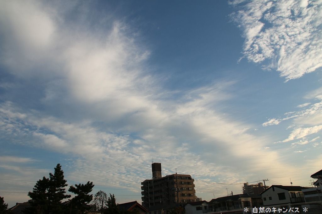 e0052135_20404295.jpg