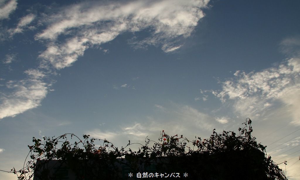 e0052135_20404709.jpg